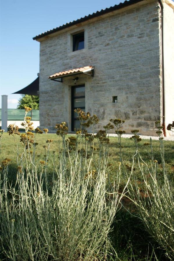 Villa Lita Pazin Exterior photo